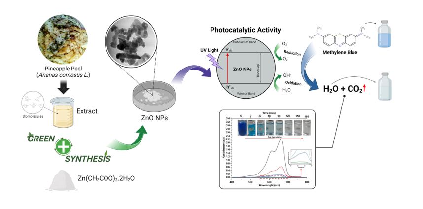 Characterization of ZnO Nanoparticles Pineapple Skin Extract (Ananas comosus L.) as Photocatalytic Activity
