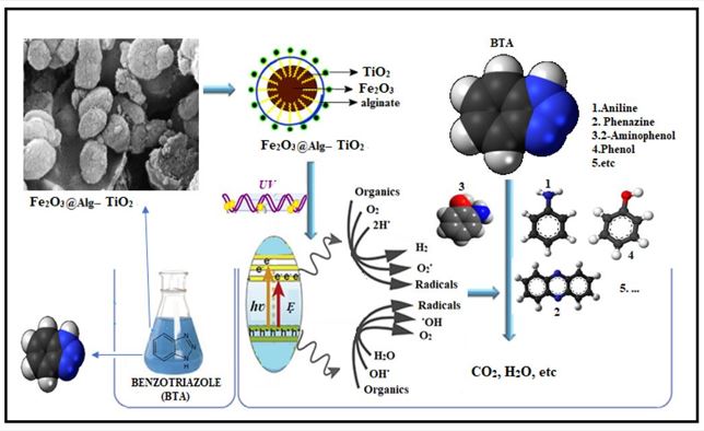 Degradation of Benzotriazole from aqueous solutions: A synergistic effect of nano- Fe2O3@Alg-TiO2 on UV/Fe2O3@Alg-TiO2 process